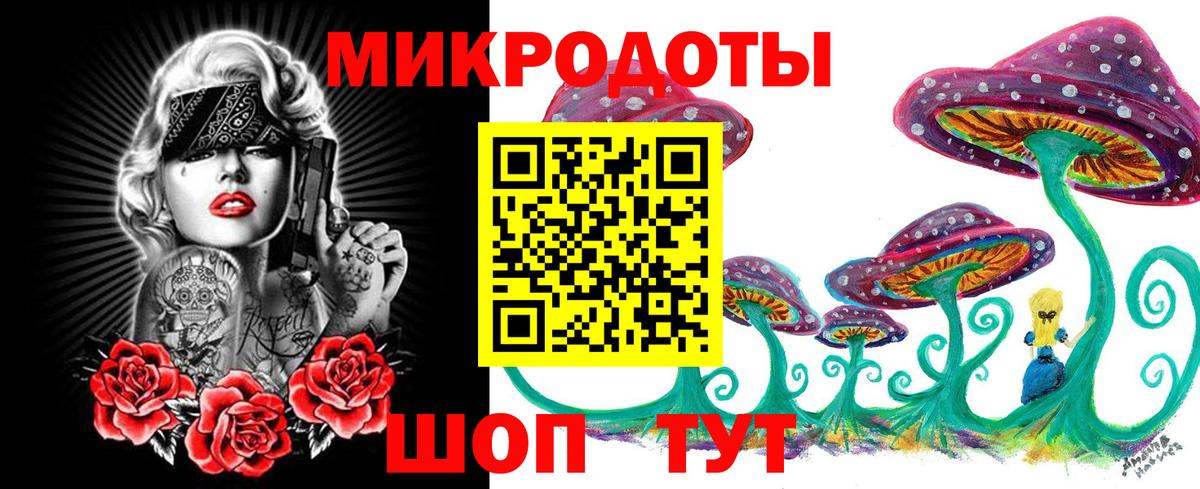 Псилоцибиновые грибы Psilocybine cubensis  Вход с VPN  Зерноград 