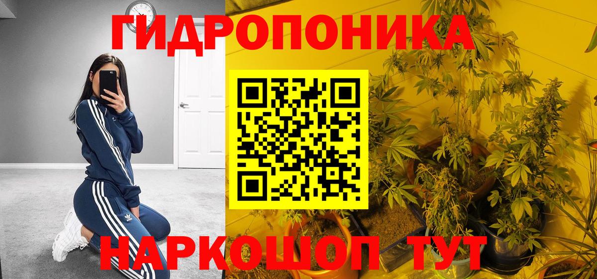 Бошки марихуана тримм  Каннабис SATIVA & INDICA  Бошки марихуана SATIVA & INDICA  Зерноград  Вход с VPN 